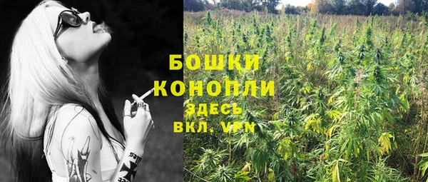 дживик Горнозаводск