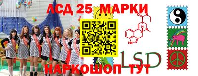 apvp Пугачёв