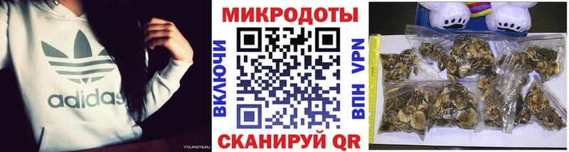 где продают   Дальнереченск  Псилоцибиновые грибы прущие грибы 