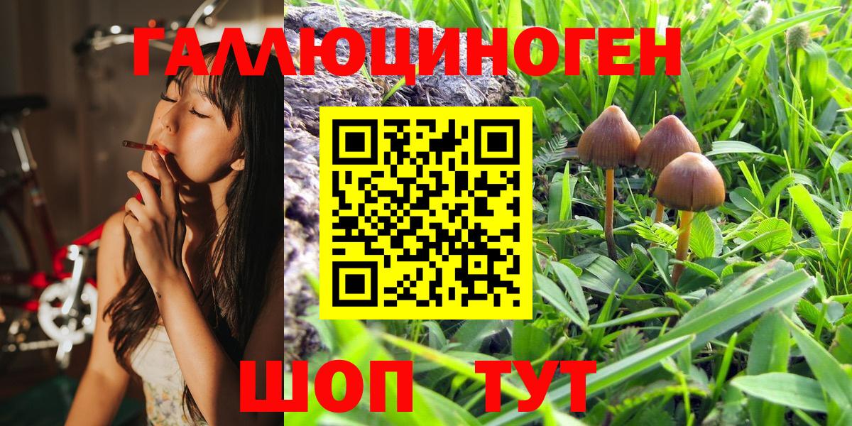 Галлюциногенные грибы Psilocybe  Вход с VPN  Дальнереченск 