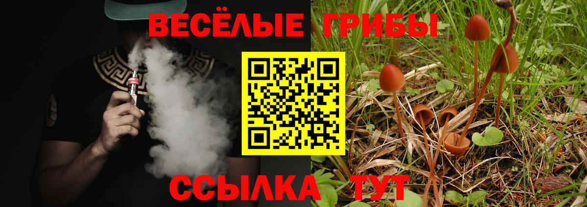 Псилоцибиновые грибы ЛСД Дальнереченск